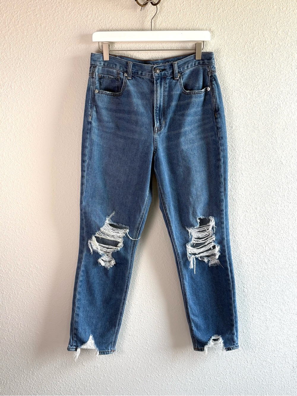 AE Distressed Mom Jeans